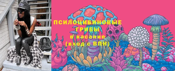 сатива Киренск