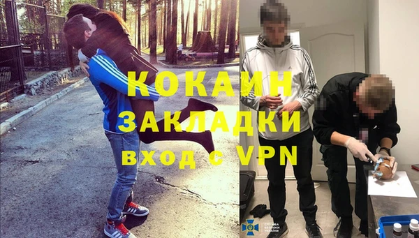 сатива Киренск