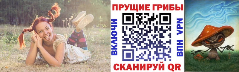 Галлюциногенные грибы прущие грибы  Купить  Лянтор 